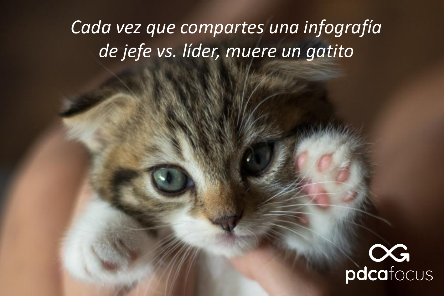 Meme sobre el debate jefe vs líder en LinkedIn